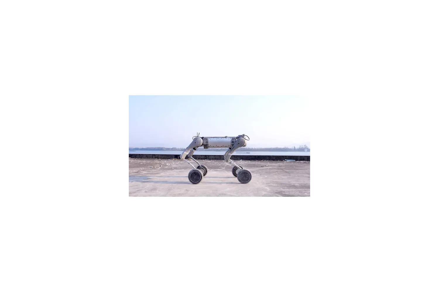 Unitree B2-W – כלב רובוטי תעשייתי עם גלגלים
